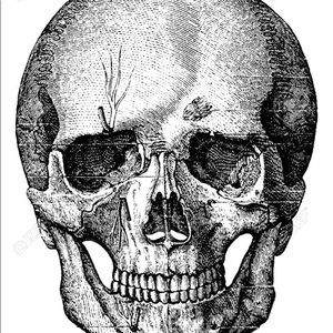 Meet your Posher, Bruce